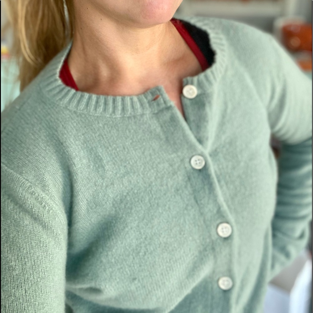 Brandy Melville Wool Sweater Button up-Sage green
